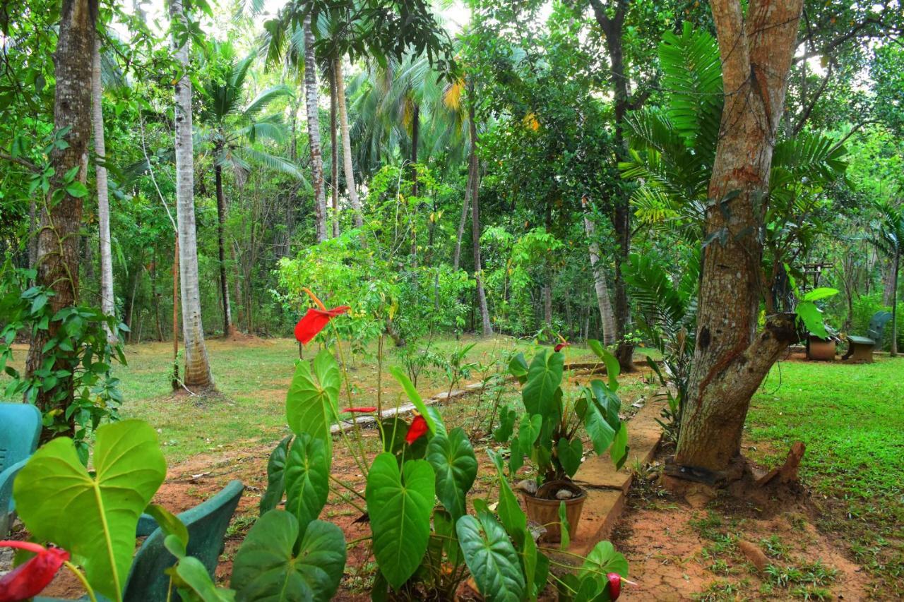 Leesa Villa Safari Resort อุดาวาลาเว ภายนอก รูปภาพ